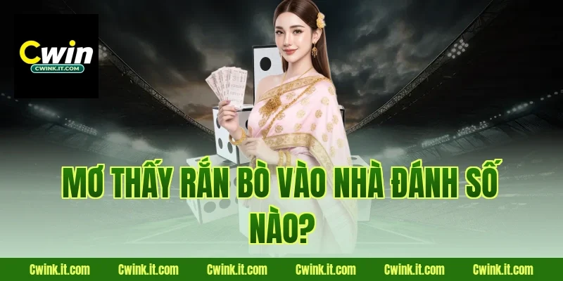 Mơ thấy rắn bò vào nhà đánh số nào?
