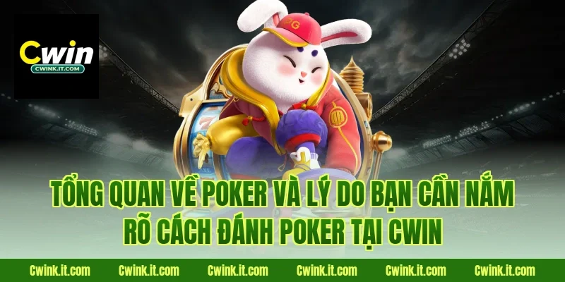 Tổng quan về poker và lý do bạn cần nắm rõ cách đánh poker tại Cwin